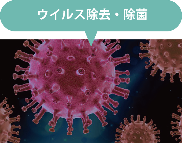 ウイルス